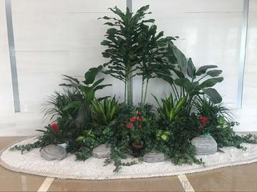 室内绿植租赁与养护 打造诗意生活的绿色呼吸