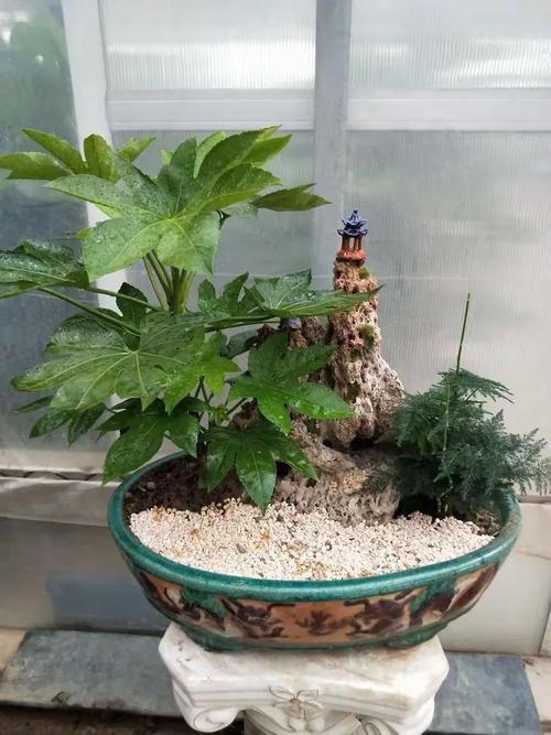鲜花绿植