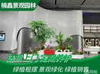 绿植租摆绿植租赁绿植批发园林绿化工程鲜花花卉批发鲜花布置绿化工程