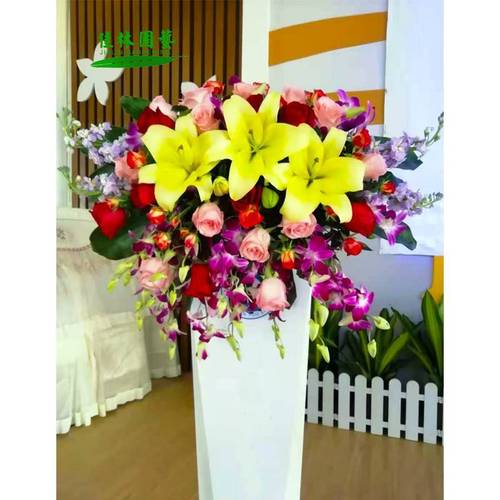 龙华绿植租摆选购指南:5个标准教你避开租赁误区